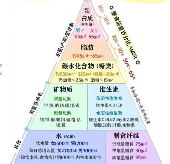 营养学的基础知识 简述营养师要学的基本知识  