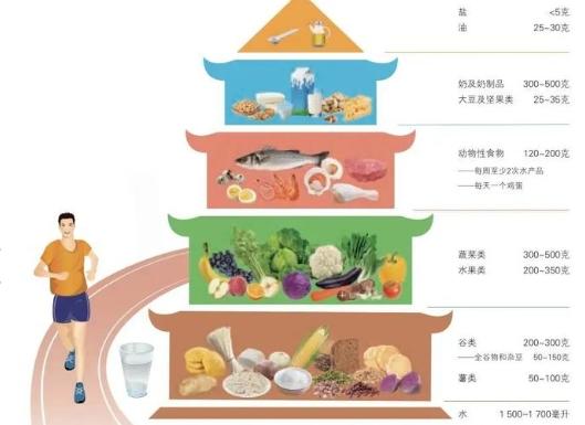 营养学的基础知识 简述营养师要学的基本知识  