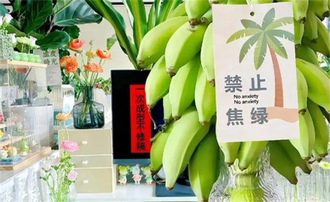 上班族热衷种香蕉，为何说缓解焦虑不能全靠自救 